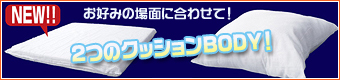 ���å����BODY�å���饯�������å����䥸�����ȥ����ɥåȡ�����˥塼��®�����