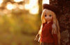 ��7��ɡ��륷���奨�������ե��ȥ���ƥ��ȷ��ȯɽ