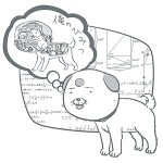 �������/���뤾/�ͤ��븤 T�����