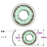 �᡼�������ꥸ�ʥ�/�����饤�ȥ���ѥ�/���顼��󥺡��ե꡼����
