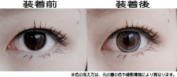 �᡼�������ꥸ�ʥ�/�����饤�ȥ���ѥ�/���顼��󥺡��ե꡼����