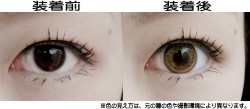 �᡼�������ꥸ�ʥ�/�����饤�ȥ���ѥ�/���顼��󥺡��ե꡼����