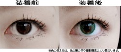 �᡼�������ꥸ�ʥ�/�����饤�ȥ���ѥ�/�ڥ����ڡ�����ʡۥ��顼��󥺡��ե꡼����2