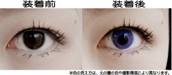 �᡼�������ꥸ�ʥ�/�����饤�ȥ���ѥ�/���顼��󥺡��ե꡼����2