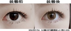 �᡼�������ꥸ�ʥ�/�����饤�ȥ���ѥ�/���顼��󥺡��ե꡼����2