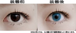 �᡼�������ꥸ�ʥ�/�����饤�ȥ���ѥ�/���顼��󥺡��ե꡼����2