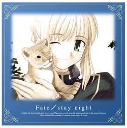 Fate/Fate/stay night/�����С����å���󥫥С�