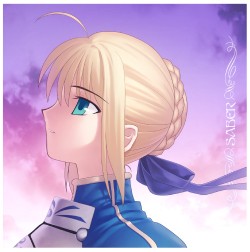 Fate/Fate/stay night/�����С����å���󥫥С�