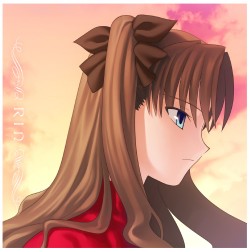 Fate/Fate/stay night/��� �ۥ��å���󥫥С�