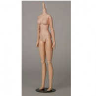 AZONE/Obitsu Body/���ӥĥܥǥ������С������SBH-M