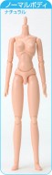AZONE/Obitsu Body/���ӥĥܥǥ������С�����󡡥Ρ��ޥ롡�ޥ��ͥå���