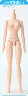 AZONE/Obitsu Body/���ӥĥܥǥ������С�����󡡥Ρ��ޥ롡�ޥ��ͥå���