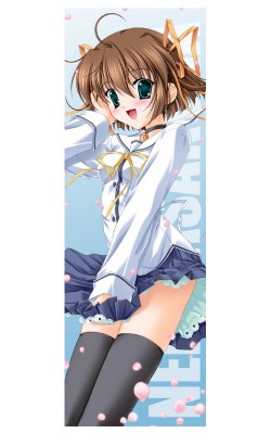 D.C. ����������/D.C.�����������ݡ�/ī�Ҳ�̴���ݡ��ĥ�����