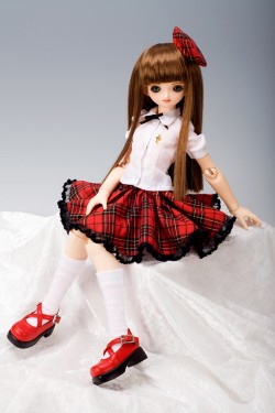 ����������/����������/40cm ���ꥸ�ʥ�ɡ��� kaiko