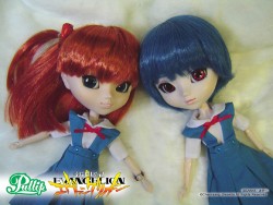 �������������󥲥ꥪ��/�������������󥲥ꥪ��/F583 �ס���å�/��ή������������󥰥졼
