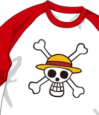 ONE PIECE/From TV animation ���ԡ���/��±���饰���ԥ����
