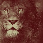 �ʥ�˥���ʪ��/�ʥ�˥���ʪ��/������󥪡���ץ��� T�����