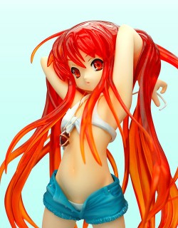 �޴�Υ����/�޴�Υ����II/1/7 PVC�����Ѥߴ����� �޴�Υ����II �����