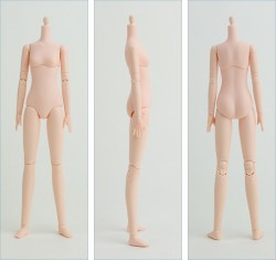 AZONE/Obitsu Body/25cm�������ӥĥܥǥ� �ʥޥ��ͥå�̵����