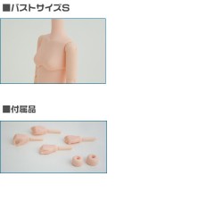 AZONE/Obitsu Body/25cm�������ӥĥܥǥ� �ʥޥ��ͥå��դ���