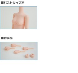 AZONE/Obitsu Body/25cm�������ӥĥܥǥ� �ʥޥ��ͥå��դ���