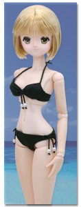 AZONE/60 Collection/SAR162 ��60cm�ɡ����ѡ� 60��ܥ�ӥ���