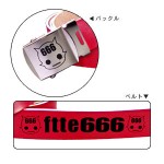 FTTE666/FTTE666/FTTE666 �ץ٥��