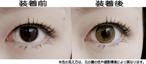 �᡼�������ꥸ�ʥ�/�����饤�ȥ���ѥ�/���顼��󥺡��ե꡼����