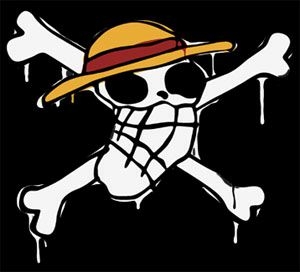 ワンピース ルフィの海賊旗tシャツ ドールライフ提案のリトルワールド