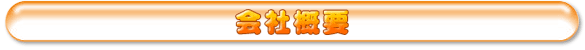 キャラクターグッズ販売のジーストア|GEE!STORE 会社概要