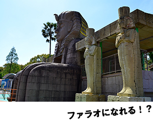 撮影場所イメージ