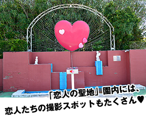 撮影場所イメージ