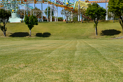 ロケーション41