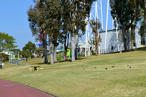 ロケーション49