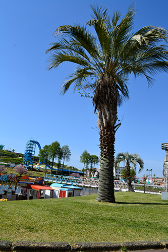 ロケーション50