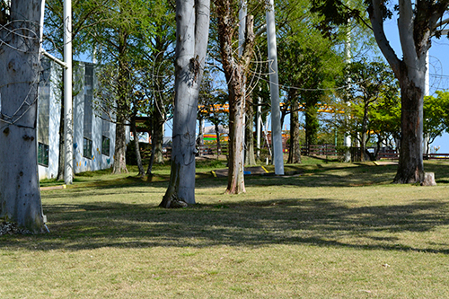 ロケーション51