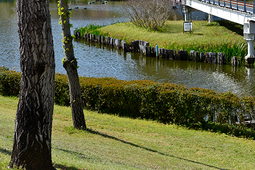 ロケーション52