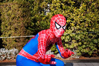 スパイダーマン｜スパイダーマン｜orz
