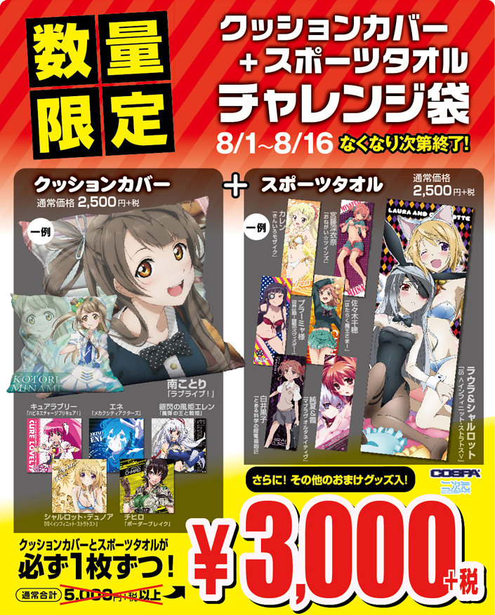 [キャンペーン]通常合計5,000円＋税以上の商品が3,000円＋税！さらにおまけも付いてくる！スポーツタオル＋クッションカバーチャレンジ袋