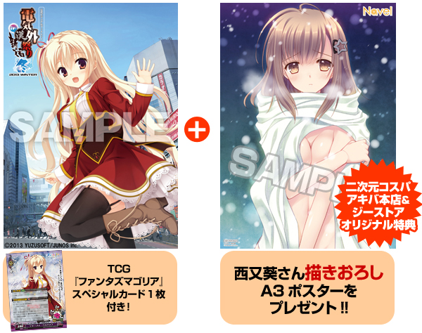 [特典・出展情報]『電気外祭り 2013 WINTER in 新宿』にジーストアの出展が決定！さらに！ジーストア各店、二次元コスパ・アキバ本店で公式ビジュアルブックレットをご購入頂いた方に、「“西又葵さん描きおろし”A3ポスター」をプレゼントいたします！なくなり次第終了となりますので、ご購入はお早めにどうぞ！