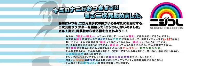 萌える美少女キャラクターグッズ！次は着る二次元！！