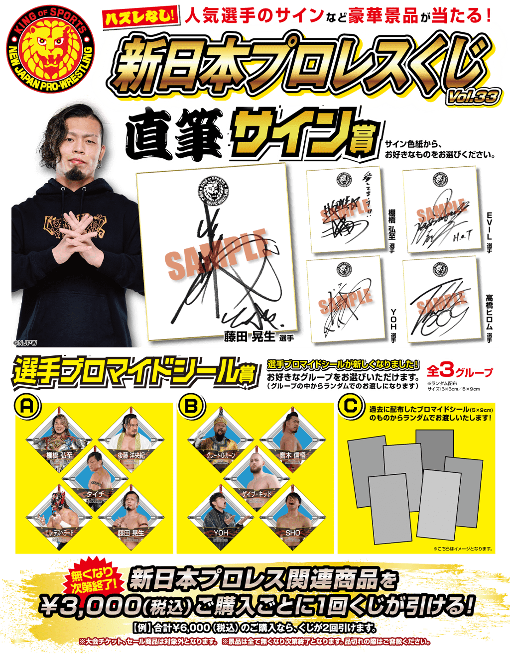[キャンペーン]『夏のキャンペーン2025』新日本プロレスくじvol.33