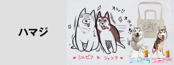 ハマジ