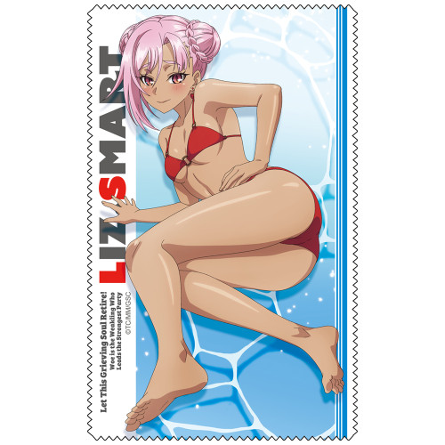 リィズ・スマート クリーナークロス 水着Ver.