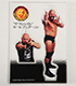 フィギュアシートキーホルダー カール・アンダーソン 新日本プロレスリング/新日本プロレスリング/フィギュアシートキーホルダー カール・アンダーソン