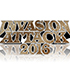 新日本プロレスリング/新日本プロレスリング/DVD INVASION ATTACK 2016