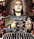 DOMINION 6.9 in OSAKA-JO HALL パンフレット 新日本プロレスリング/新日本プロレスリング/DOMINION 6.9 in OSAKA-JO HALL パンフレット