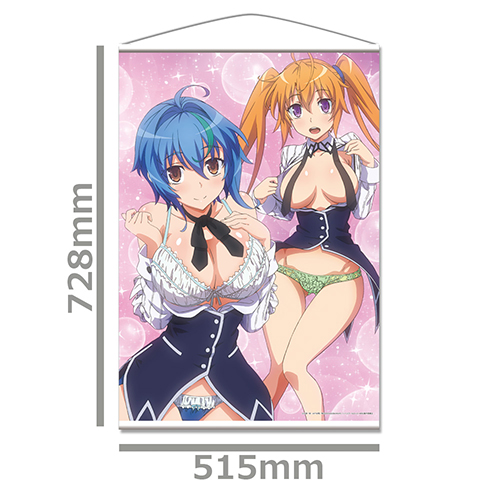 ハイスクールD×D HERO B2タペストリーA［ゼノヴィア＆イリナ］ [ハイ 