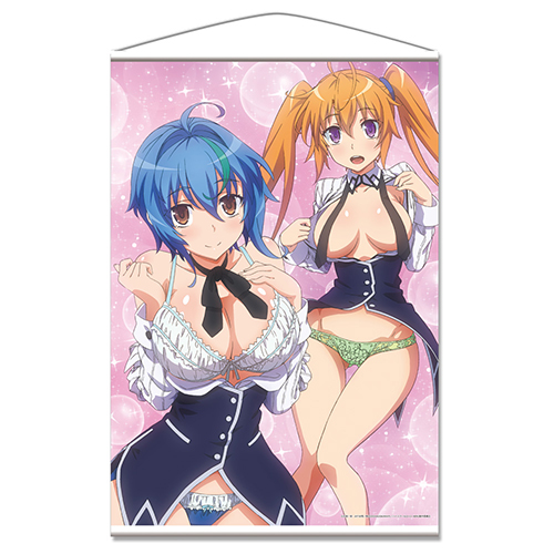 ハイスクールD×D HERO B2タペストリーA［ゼノヴィア＆イリナ］ [ハイ