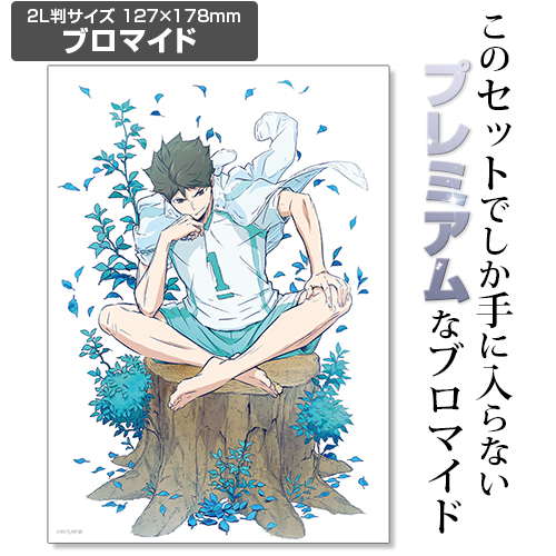 限定 ブロマイドつき 及川徹 100cmタペストリー ハイキュー To The Top キャラクターグッズ アパレル製作販売のコスパ Cospa Cospa Inc